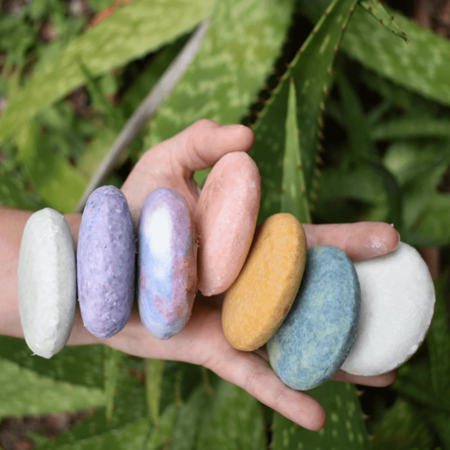 Zero Waste Shampoo Bar by Tangie- Rose Geranium